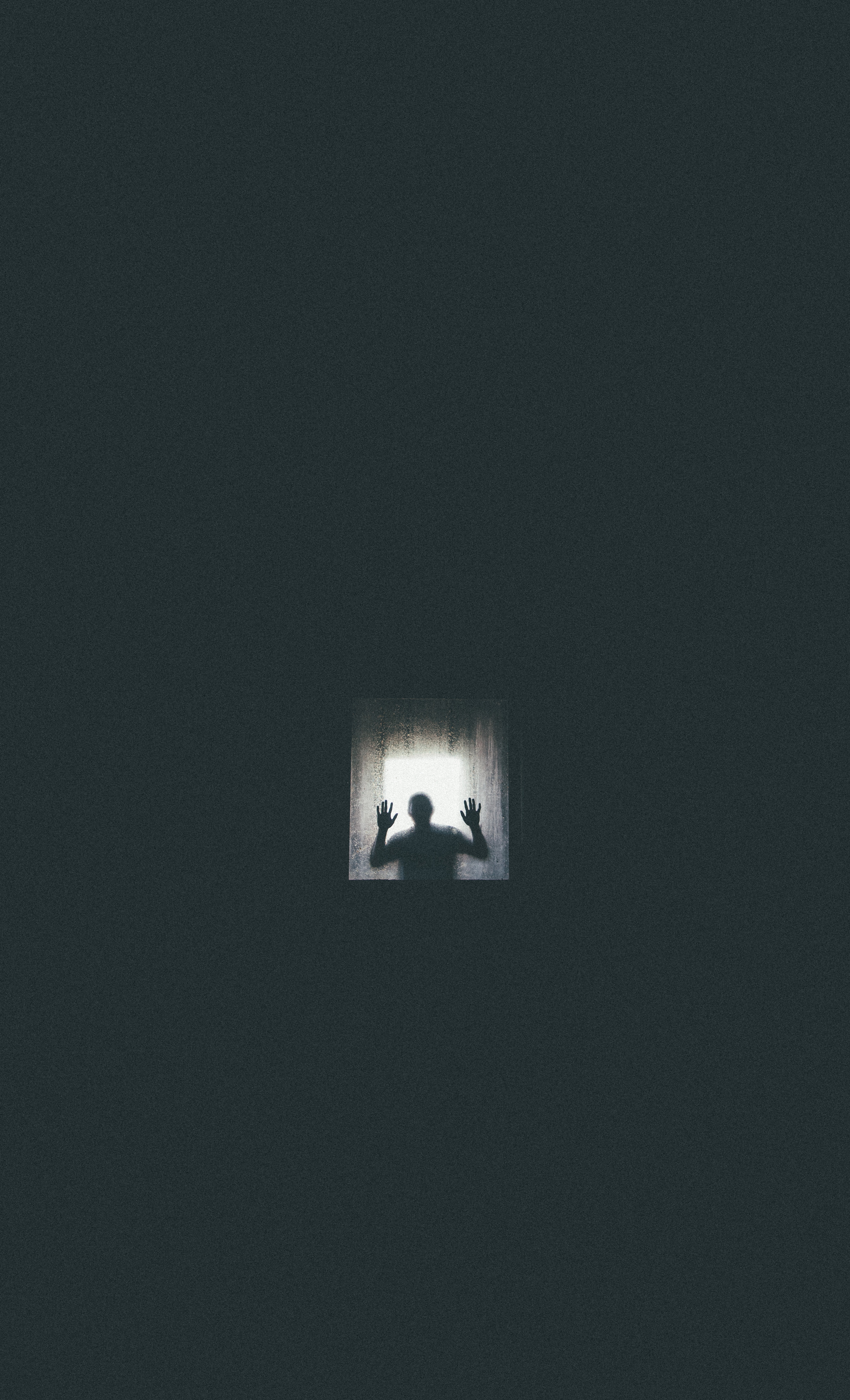 pexels-zachary-debottis-2953863